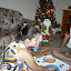 P1020140.JPG