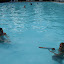 P1010727.JPG