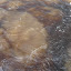 P1020915.JPG