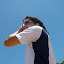 P1030090.JPG