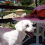 P1030127.JPG
