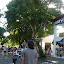 P1030188.jpg