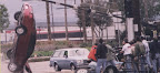 ca_pic2g.jpg