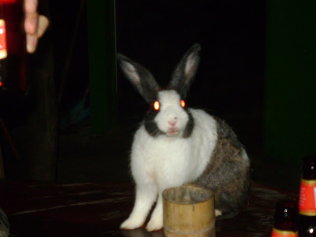 http://lh4.ggpht.com/_JhwvZZ52agw/SS8-6I9cnEI/AAAAAAAACJI/6TB89xSdUbI/s640/DSC01010.JPG