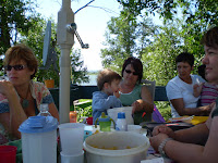 Round Lake 2008 29.jpg