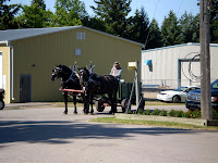 P7110339.JPG