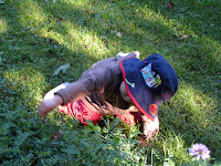 IMG_1555.JPG