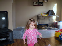 PB190263.JPG
