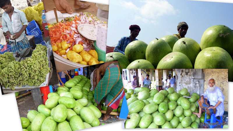 Musim Semangka di Bangladesh