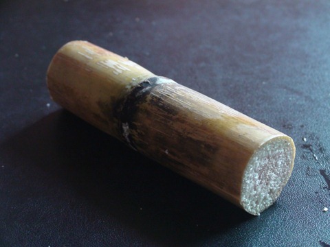 sugarcane (3)