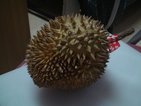 durian (9)