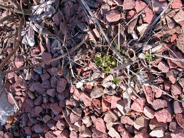 [DSCN03624.jpg]