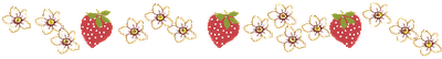 [berrydividerx[4].png]