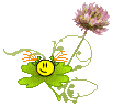 clovergirlsmiley1 clovergirlsmiley1