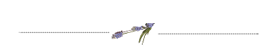 [bar_fruehling[7].png]