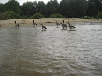 IMG_0742.jpg