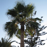 2010-07-19 Kreta 006.JPG