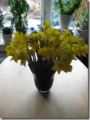 IMG_6668 IMG_6668