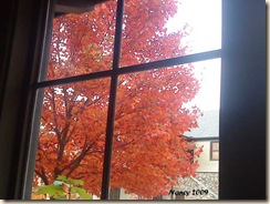 redleavescross
