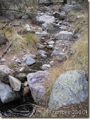 arizona creek