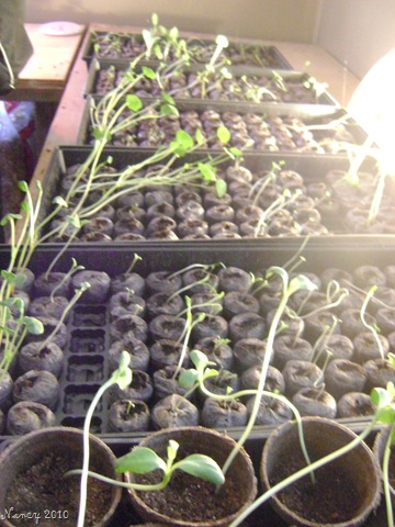 [February201001410.jpg]