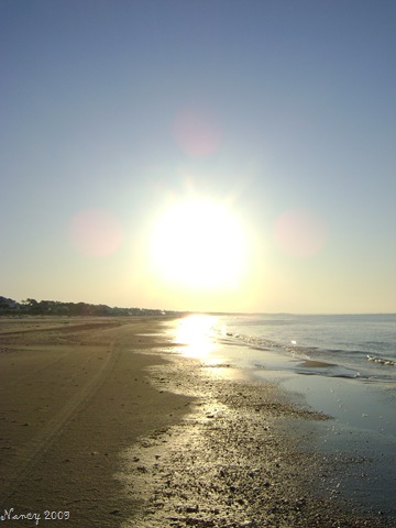 [Cape San Blas, FL April 5-10,2009 014[9].jpg]