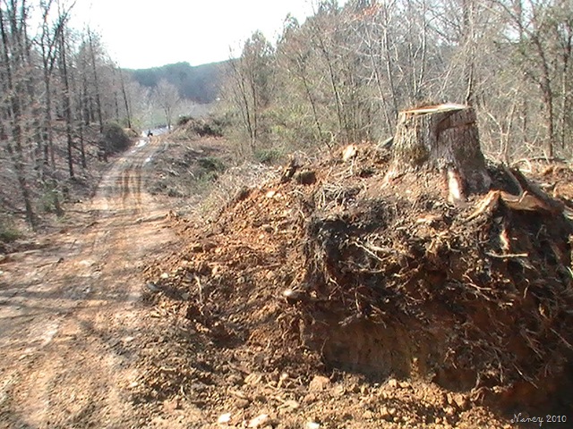 [March20100335.jpg]