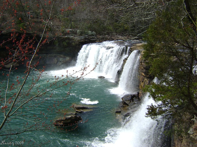 [March 2009 192[8].jpg]