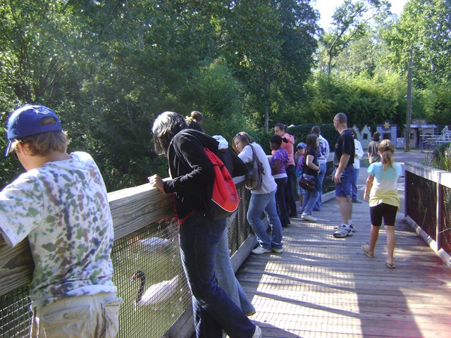 [October20090152.jpg]