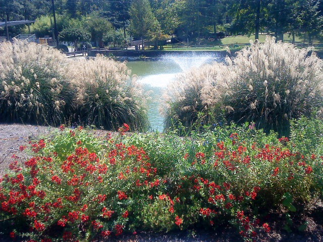 [October20090062.jpg]