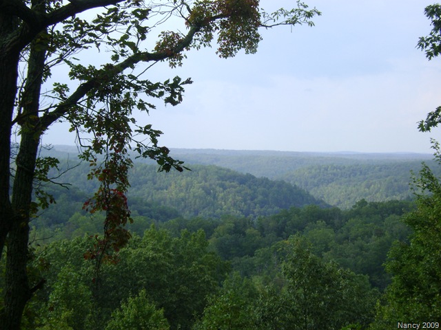[September20090576.jpg]