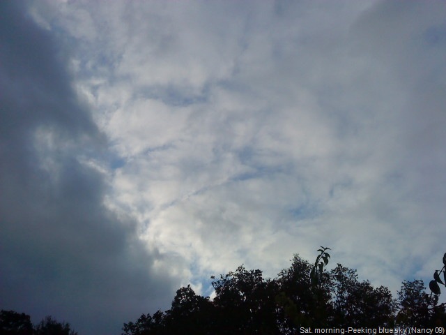 [October 2009 003[47].jpg]