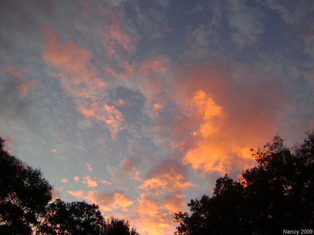 [October20090115.jpg]