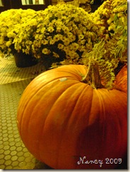 October 2009 023
