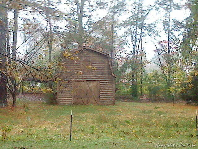 [November200908810.jpg]