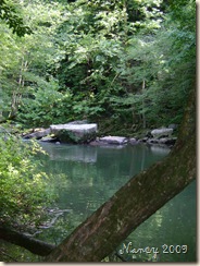 June 2009 018