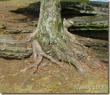 october 2008 010