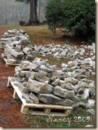 December 2009 066