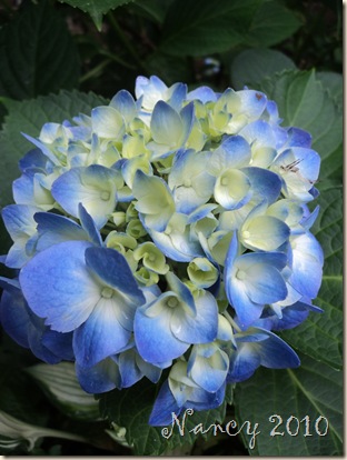 June 2010 017