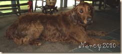 June 2010 023