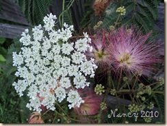 June 2010 025