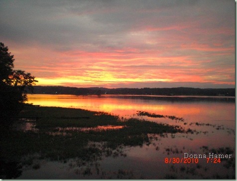 donna hamer lake