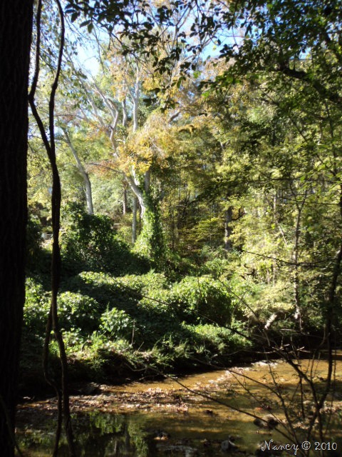 [DSC09464[10].jpg]