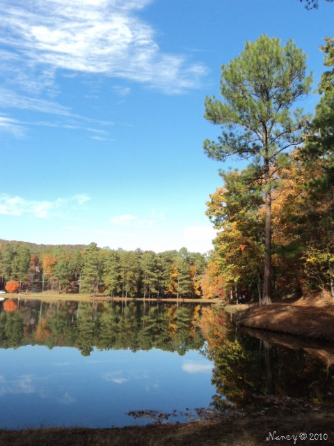 [DSC09534[15].jpg]