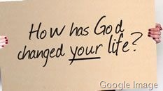 [cardboard testimony[5].jpg]