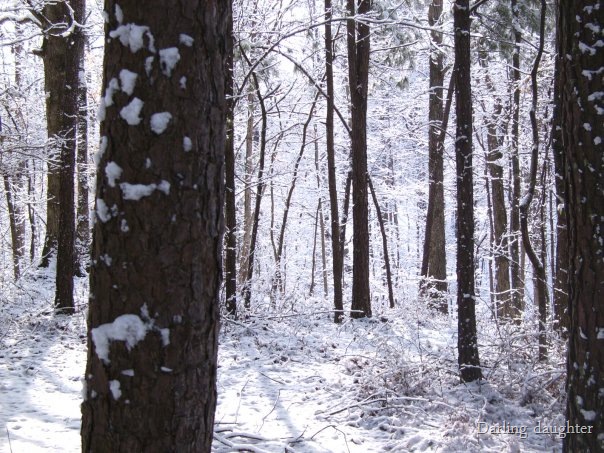 [farm snow13[8].jpg]