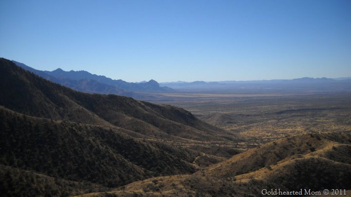 [Arizona[8].jpg]