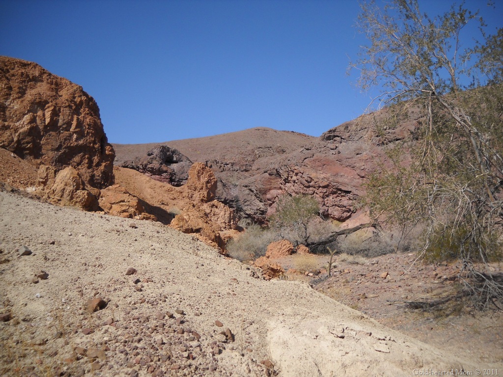[Painted Desert1[9].jpg]