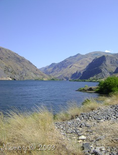 July 2009 231