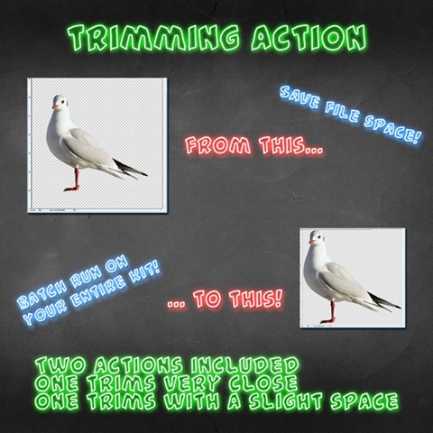 [trimming action preview copy[16].jpg]